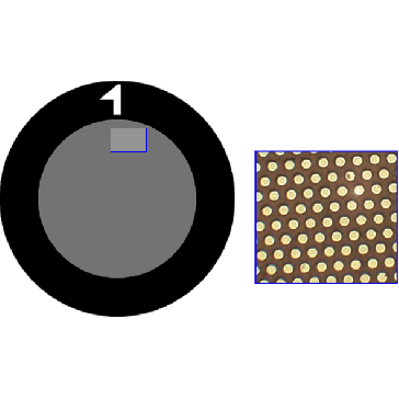 Gilder Grids Fine Hexagonal 2000 mesh