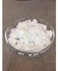 Nitrocellulose with Alcohol (Gun Cotton)