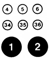 Black & White Circled Numbers Transfer Sheet