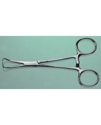 Specimen Mount Forceps