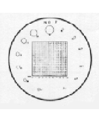 Measuring Scales for Magnifiers