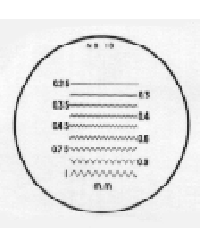 Measuring Scales for Magnifiers
