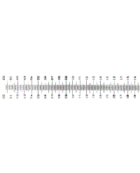 Stage Micrometer with Micro-Coverglass