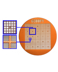 G300F1 Gilder TEM Finder Grid