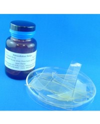 Nitrocellulose Strips