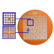 G300F1 Gilder TEM Finder Grid
